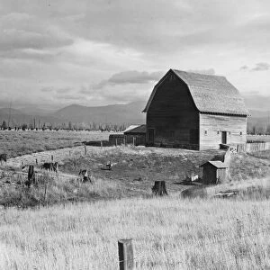 Type barn, characteristic of Idaho, on farm of older settler, Boundary County, Idaho, 1939. Creator: Dorothea Lange
