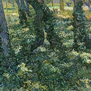 Undergrowth, 1889. Artist: Gogh, Vincent, van (1853-1890)