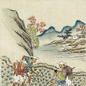 Workers cultivating rice in a paddy field, 19th century