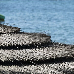 Architectural Details Of A Thatched Roof At The Waters Edge; Paphos, Cyprus