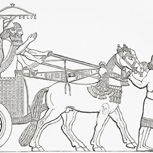 An Assyrian King In His Chariot Of State. From The Imperial Bible Dictionary, Published 1889