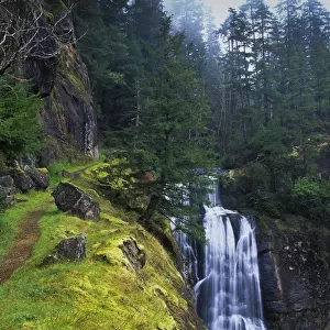 Golden Falls Plunges Over The Cliffs; Allegany, Oregon, United States Of America