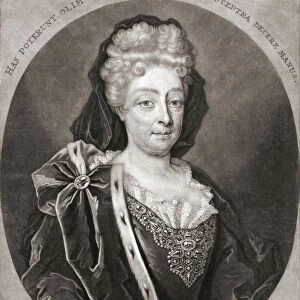 Portrait of Sophia of Hanover, Duchess of Brunswick-Luneburg, 1630 - 1714. She was heir presumptive to the thrones of England and Ireland under the Act of Settlement 1701. From an engraving by Pieter Schenk (I)