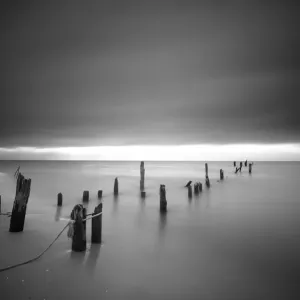 B+W version of the old plank way at the Baltic Sea near Mazirbe, Mazirbe, Kurzeme, Latvia B+W version of the old plank way at the Baltic Sea near Mazirbe, Mazirbe, Kurzeme, Latvia