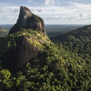 La Montaña de Botella emergiendo del bosque lluvioso, Rupununi, Guyana. La Montaña de Botella emergiendo del bosque lluvioso, Rupununi, Guyana.