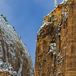 Canyon cliff in winter, Zion National Park, Utah