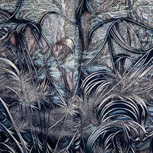 Kleiner Aufnahmen von Kristallen verschiedener Säure unter Verwendung des Polarisierungslichts fotografiert, Niederlande - Finalist im Human Made-Kategorie der 2023 Close-up Photographer of the Year (CUPOTY) Fotokonzett