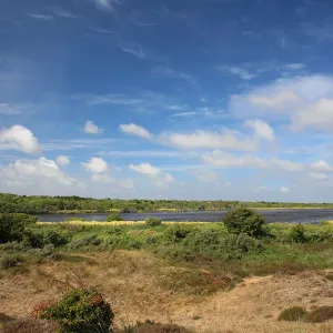 Coastal landscape of De Geul, Texel, Noord-Holland, The Netherlands