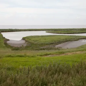Coastal landscape, Texel, Noord-Holland, The Netherlands Coastal landscape, Texel, Noord-Holland, The Netherlands