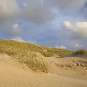 Dunas en la costa holandesa bajo un cielo lleno de nubes, Países Bajos, Noord-Holland.