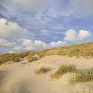 Dunes at the Dutch coast under a sky full with clouds, The Netherlands, Noord-Holland