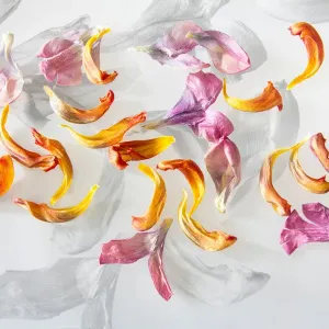 Blumenblätter mit schwarzen und weißen Hintergrund