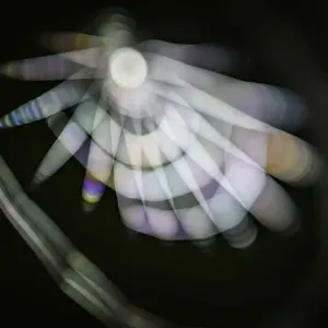 Sehr experimentell fotografiertes Bild einer Spinne-Falle außerhalb im Dunkeln mit bewusstem Ausfall aus Fokus und Beleuchtung durch einen Taschenlampen als Lichtquelle, Niederlande - Ehrfürchtiges Erwähnenswert in der Kategorie 