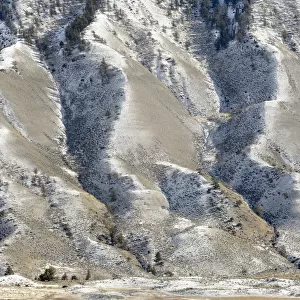 Hillside during winter, Mammoth Hot Springs, Yellowstone National Park, Wyoming, United