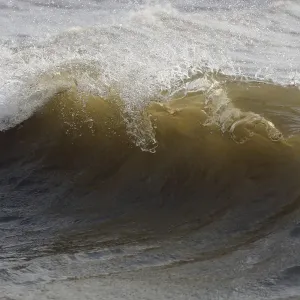 Incoming waves just before breaking on beach, The Netherlands, Noord-Holland