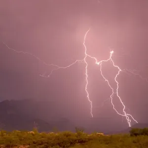 Lightning strike, Santa Rita Mountains, Arizona Lightning strike, Santa Rita Mountains, Arizona