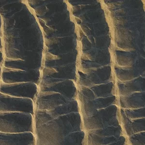 Lines in the sand at first light of the day, The Netherlands, Noord-Holland