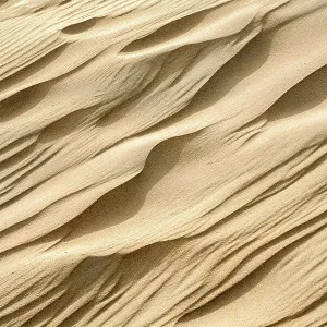Patterns in the sand of the dunes, Kennemerduinen, Noord-Holland, The Netherlands