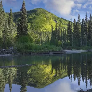 Pine River, Hart Ranges, British Columbia, Canada