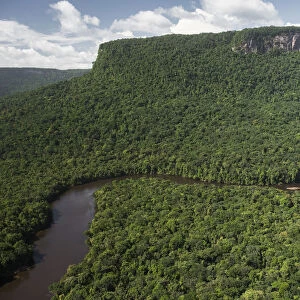 Potaro River flowing through rainforest, Kaieteur National Park, Guyana