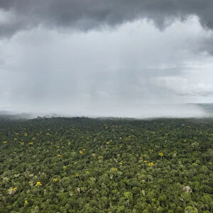 Rain falling over rainforest, Essequibo River, Rupununi, Guyana