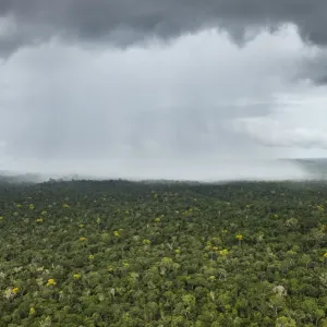 Regen fällt über Regenwald am Essequibofluss im Rupununi in Guyana Regen fällt über Regenwald am Essequibofluss im Rupununi in Guyana