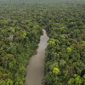 River in rainforest, Rupununi River, Rupununi, Guyana