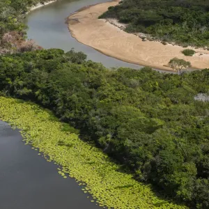 Der Rupununi-Fluss fließt durch Regenwald in der Region Rupununi im Land Guyana Der Rupununi-Fluss fließt durch Regenwald in der Region Rupununi im Land Guyana