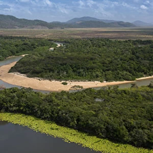 Rupununi River flowing through rainforest, Rupununi, Guyana