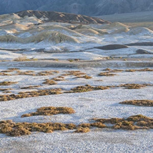 Salt deposits, Salt Creek Trail, Death Valley National Park, California