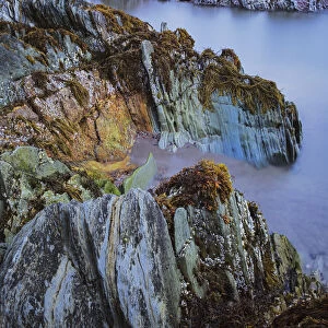 Sedimentary rocks along coast, Batsfjord, Persfjord, Varanger, Finnmark, Norway