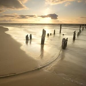 Sunset at the remains of an old plank way in the Baltic Sea near Mazirbe, Mazirbe