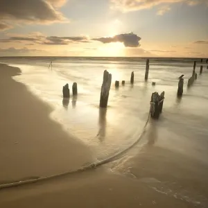 Sunset at the remains of an old plank way in the Baltic Sea near Mazirbe, Mazirbe Sunset at the remains of an old plank way in the Baltic Sea near Mazirbe, Mazirbe