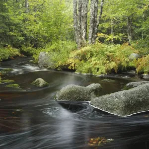 Oberer Fluss des Weißen Bären im frühen Herbst, Neuschottland (Kanada) Oberer Fluss des Weißen Bären im frühen Herbst, Neuschottland (Kanada)