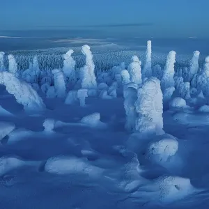 Blick über einen schneebedeckten Waldlandschaft nahe der russischen Grenze bei blauem Stunduntergang, einem kurzen Zeitraum des Dämmerungszeitraums, Nordostbottenland/Finnland - Diese Foto erreichte den 10. Platz in der Kategorie Landschaft im GDT Nature