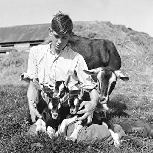 Boy with a goat and kids at Birling Goat Farm. 18th April 1945