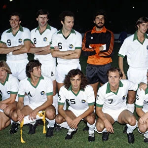 New york Cosmos team group photograph. Back row left to right: Giorgio Chinaghia