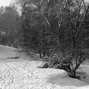 Snow scenes at Claygate. January 1940 L151