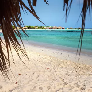 Aruba, Baby beach Scene from straw hut