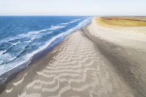 Netherlands Prints: Aerial view of North Sea beach with dunes near the Slufter valley, Texel, Noord-Holland