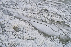 Aerial view, shot almost straight down, of hummocking ice in the Markermeer after a long Aerial view, shot almost straight down, of hummocking ice in the Markermeer after a long