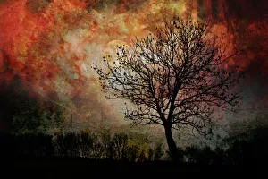 Artistic double exposure of the silhouette of a tree