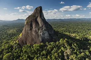 Bottle Mountain rising out of rainforest, Rupununi, Guyana