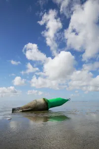 Natura Prints: Buoy lying on the mudflats of the Wadden Sea, Texel, Noord-Holland, The Netherlands