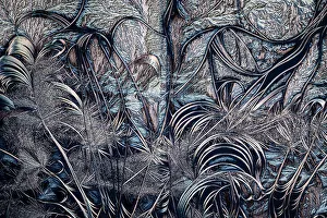 Close up showing crystals of different acids, photographed using polarized light, The Netherlands - Finalist in the Human Made category of the 2023 Close-up Photographer of the Year (CUPOTY) photo contest