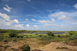 Coastal landscape of De Geul, Texel, Noord-Holland, The Netherlands Coastal landscape of De Geul, Texel, Noord-Holland, The Netherlands