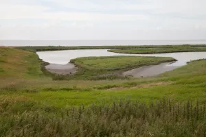 Coastal landscape, Texel, Noord-Holland, The Netherlands