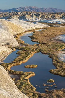 Blue Sky Prints: Creek, Salt Creek Trail, Death Valley National Park, California