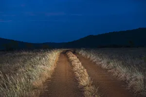 Blue Sky Prints: Dirt road in savanna at dusk, Rupununi, Guyana