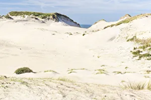 Dune formation, Zuid Kennemerland National Park, Noord-Holland, the Netherlands Dune formation, Zuid Kennemerland National Park, Noord-Holland, the Netherlands